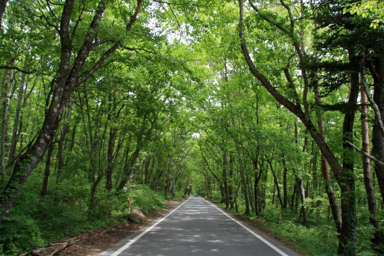 Twin-Line Hotel Karuizawa Japan Buitenkant foto